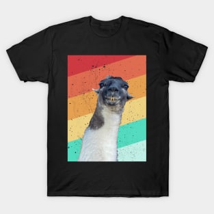 Cute Alpaca No Prob LLAMA Vintage Lama Retro Alpaca Gift T-Shirt